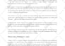 write 2000 words SEO friendly website articles, blog post