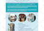 design clean creative business flyer, leaflet, logo