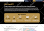 create a professional flyer to promote business or service