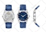 design jewelry watch, belt, shawl  sketch