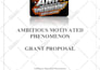 write an investor ready business plan, business proposal grant writer