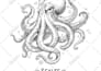 create an awesome vintage hand drawn logo