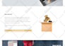 create, modify, fix wordpress website for you