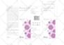 design a minimalistic modern cosmetic supplement packaging or label