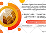create a professional and visually stunning canva presentation