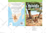 design cute children book cover, children book illustrations