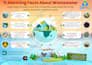 design professional tamil and english flyers