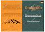 design professional flyer or poster for your events and business