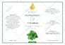 do product label design, bottle label, cbd label design