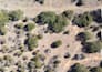 process drone images to generate 3d models
