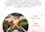 design an influencer media kit that gets you brand partnerships
