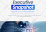 design professional business PDF documents, templates in canva or indesign