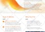 create fully editable canva brochure, flyer or catalog design