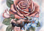 draw custom wildlife animal art