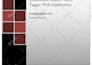 perform web application penetration testing and vulnerability assessment
