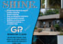 design a single page flyer for your business