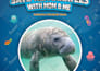 kid friendly book formatting and layout