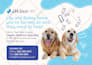 design a postcard or direct mailer
