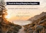 create professional PDF lead magnet, workbook, ebook and canva design