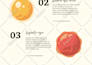 infografías y folletos creativos y profesionales
