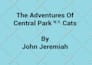 do kindle formatting, paperback and convert pdf to epub