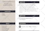 make you a fast, cheap and professional resume
