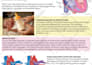 do creative infographic design and amazon infographics