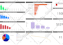 create insightful power bi dashboards and reports