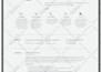 design a creative resume