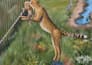 draw custom wildlife animal art