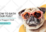create modern and professional presentations in canva pro