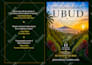 design professional ebook cover