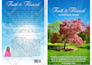create back cover and spine for book