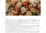 write a custom speech for weddings, graduations, and special events