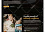 build a google site, namecheap website, hostinger website, wix, wordpress site