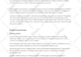 write the best dutch SEO website content or blog