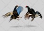 create any animal in the style you want
