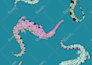 custom textile designs to make your vision a reality