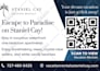 design social media posts, banners and ads for your brand