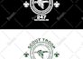 revamp, fix, edit, vector, refresh, redesign any logo
