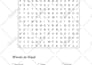 custom word search puzzles with solutions for KDP