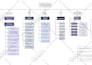 create colorful  mind or concept map within 24 hours