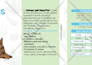 design product packaging label and design or box mockup