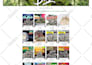 build a professional ecommerce website