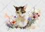 do watercolor illustration creatively