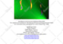 remove black magic, evil eye and negative energy with powerful spiritual healing