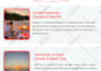create a professional brochure design