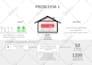 design a professional premium infographic