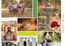 design attractive mood boards in 2 hours or less