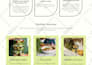 design figma, adobe xd, PSD and build website on wordpress elementor